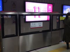 -大望路(地铁站)