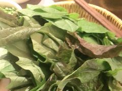 -巴奴毛肚火锅(二七万达店)