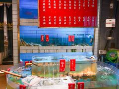 景观位-禄婶鸡煲·打边炉