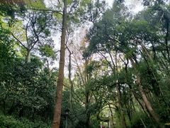 -虎跑公园