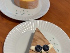 -猫里有甜