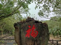 -海口火山口国家地质公园