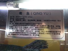 -南京金牛湖风景区