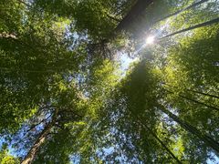 -藏龙百瀑风景区