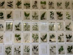 -广东中医药博物馆