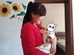 -爱月宝月嫂·育儿嫂