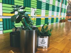 -Green Option(官舍店)