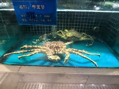 -味莊·青岛菜(云霄路店)