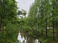 -黄海国家森林公园