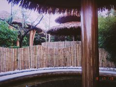 -大连金石滩绿发温泉假日酒店