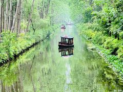 -合肥滨湖国家森林公园