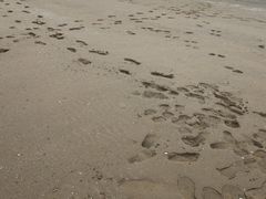 -启东黄金海滩景区