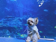 -太平洋海底世界