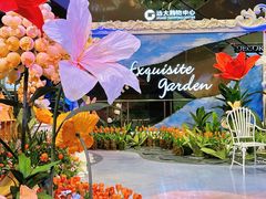 -远大购物中心(南岗店)