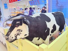 -红星前进面包牛奶公司(君太店)