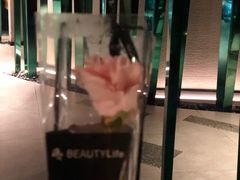 -凤园椰珍·臻品椰子鸡(保利时光里店)
