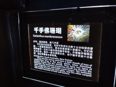-南昌海洋公园