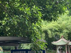 -黔灵山公园