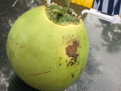 -三亚珠江南田温泉度假区