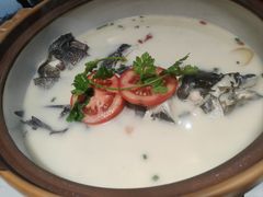 -全乐鱼馆·淳牌有机鱼直营店