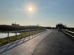 -宁波杭州湾国家湿地公园