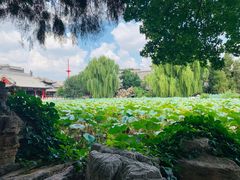 -莲池书院博物馆