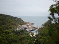 -广东惠东海龟国家级自然保护区