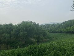 -滨河世纪广场公园