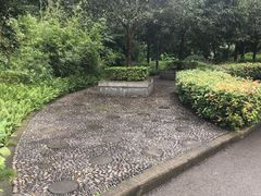 -大渡口区义渡公园