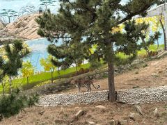 -西霞口神雕山野生动物世界