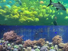 -珠海长隆海洋王国