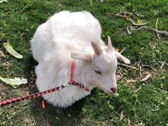 -前小桔亲子创意农场·草莓采摘·露营烧烤