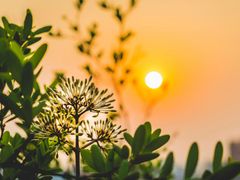 -麦当劳(温州人民路店)