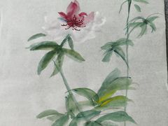 -八哥美术·成人美术画室(总校区)