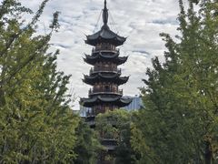 -龙华素斋(龙华路店)