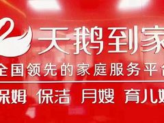 -天鹅到家·保姆月嫂育儿嫂(南开店)
