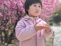 -太阳宫公园