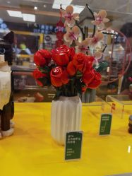 -乐高授权专卖店(朝阳大悦城店)
