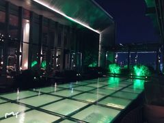 -四季酒店·空中花园 Aria on 9