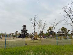 -上海长兴岛郊野公园