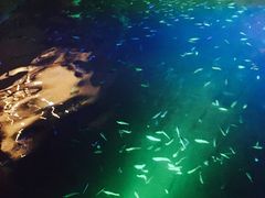 -宝丽金大酒店·洗浴中心