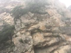 -青峰峡国家森林公园