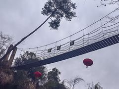 -千岛湖东南湖区