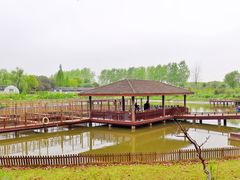 -太阳岛度假酒店