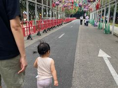 -海上田园