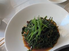 -十二毡房蒙餐·蒙古包