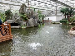 -汤山翠谷生态餐厅