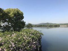 -望海·帆船主题咖啡厅•品茗下午茶(石湖景区店)