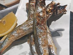 -新一番三文鱼寿司(红城湖店)