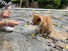 -四门塔风景区